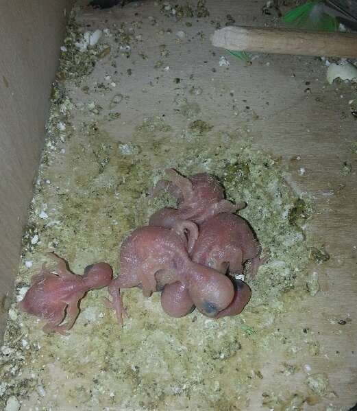 che emozione!! sono5!!